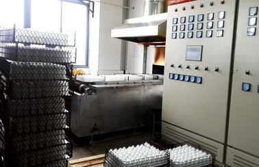 Fornalha industrial elétrica do recozimento de vidro contínuo da correia da malha